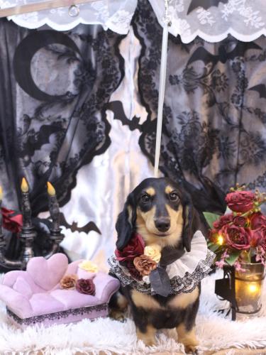 20231011おうたくん　